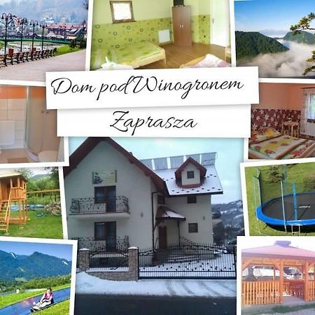 Dom Pod Winogronem Appartement Szczawnica Buitenkant foto