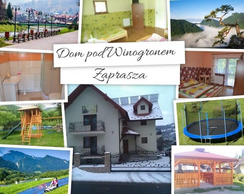 Dom Pod Winogronem Appartement Szczawnica Buitenkant foto
